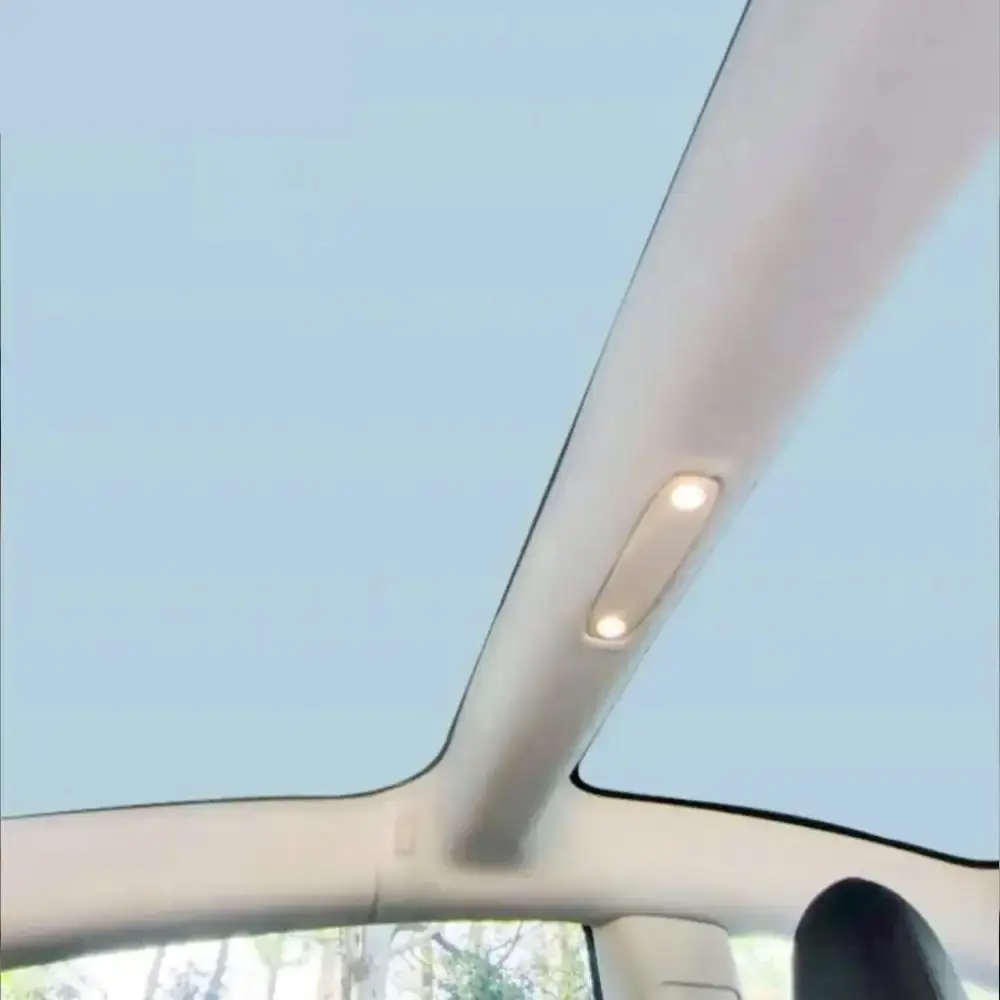 Text